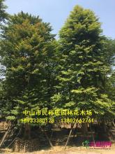 所有产品