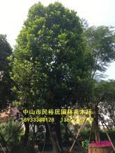 所有产品