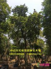 所有产品